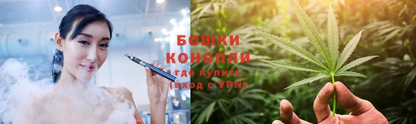 ПСИЛОЦИБИНОВЫЕ ГРИБЫ Алексеевка