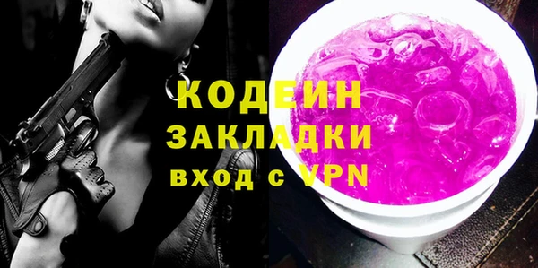 индика Заводоуковск
