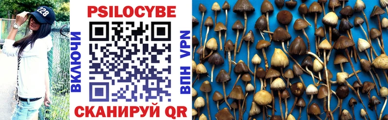 Псилоцибиновые грибы Psilocybe  гидра ссылки  Лобня 